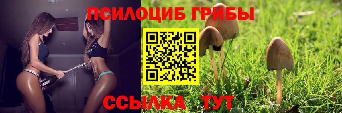 Галлюциногенные грибы ЛСД Ростов Великий