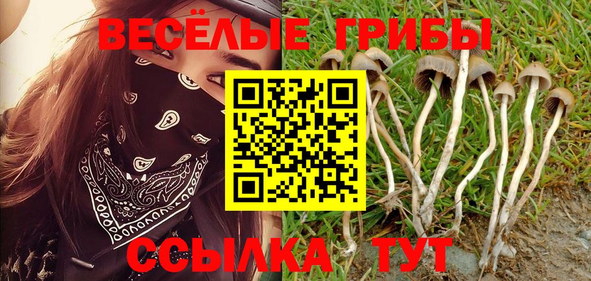 Псилоцибиновые грибы мухоморы  Вход с VPN  Ростов Великий 